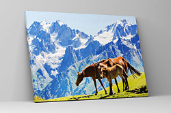 Obraz Kone a žriebä na pastvine 1615